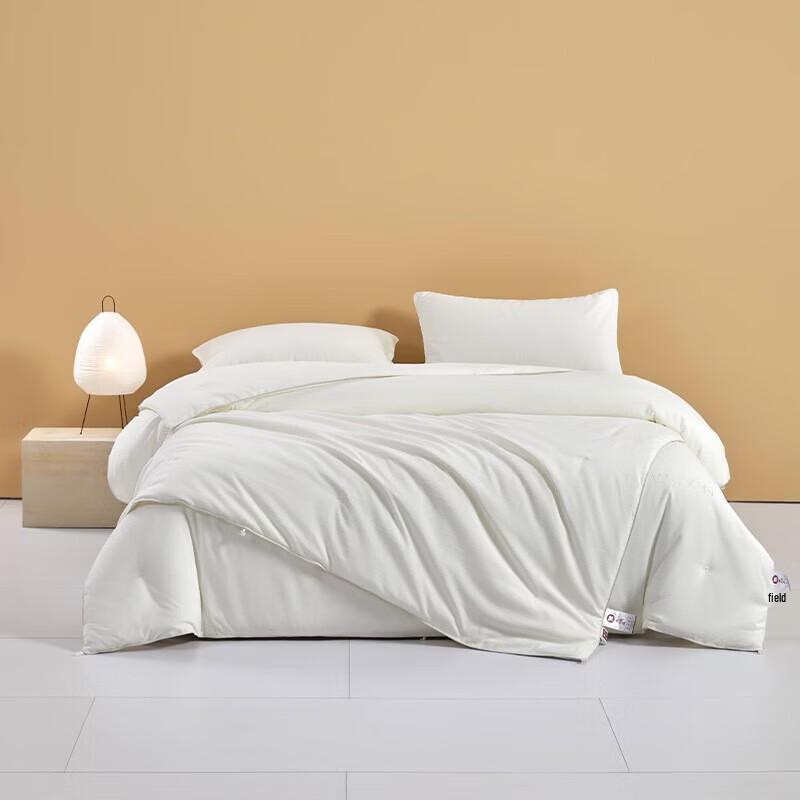 Muji Four Seasons Detachable Nano-Pearl Fiber Duvet
