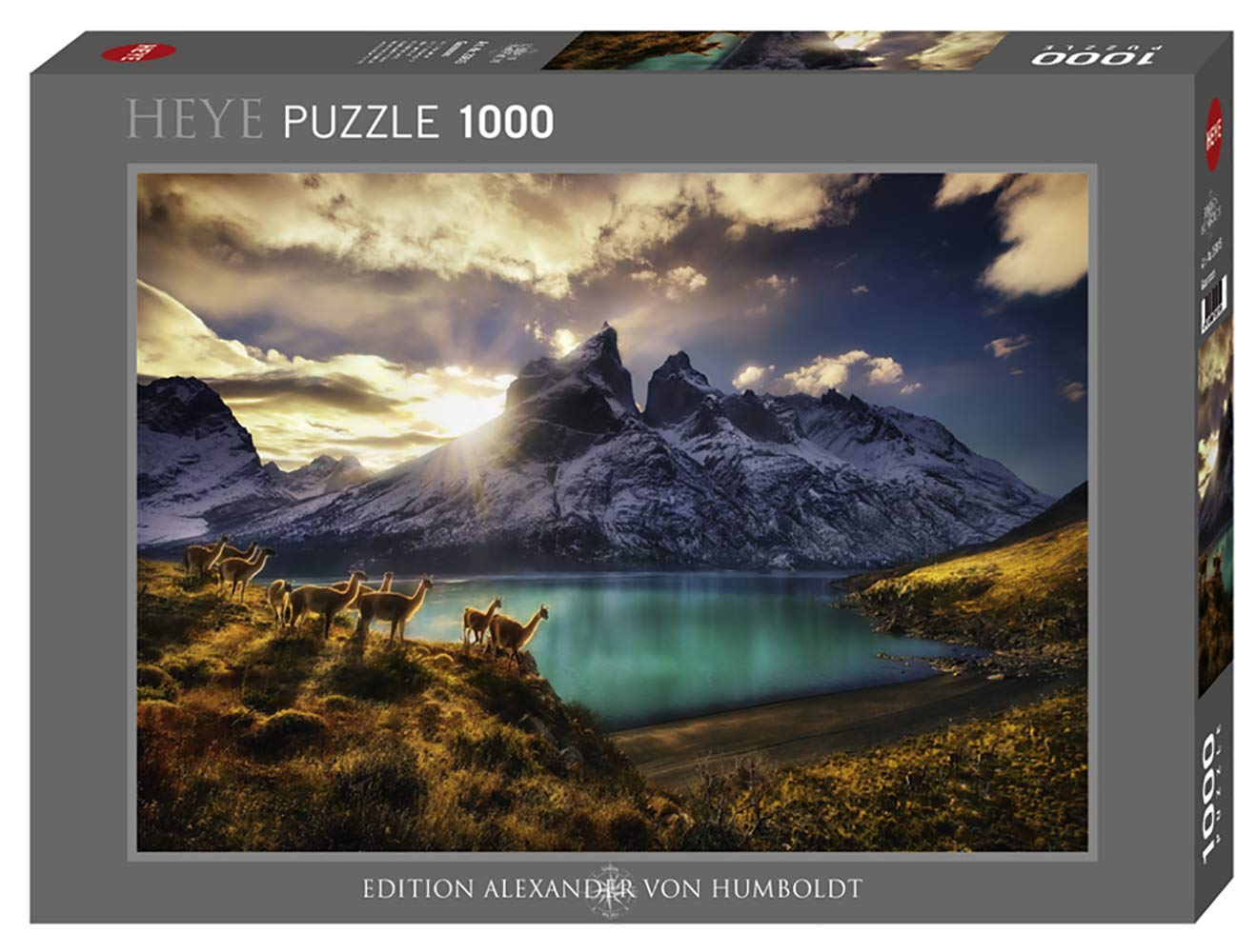 

Guanacos Puzzle 1000 Teile