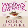 The Widows of Eastwick by John Updike Paperback Book 9780141038032