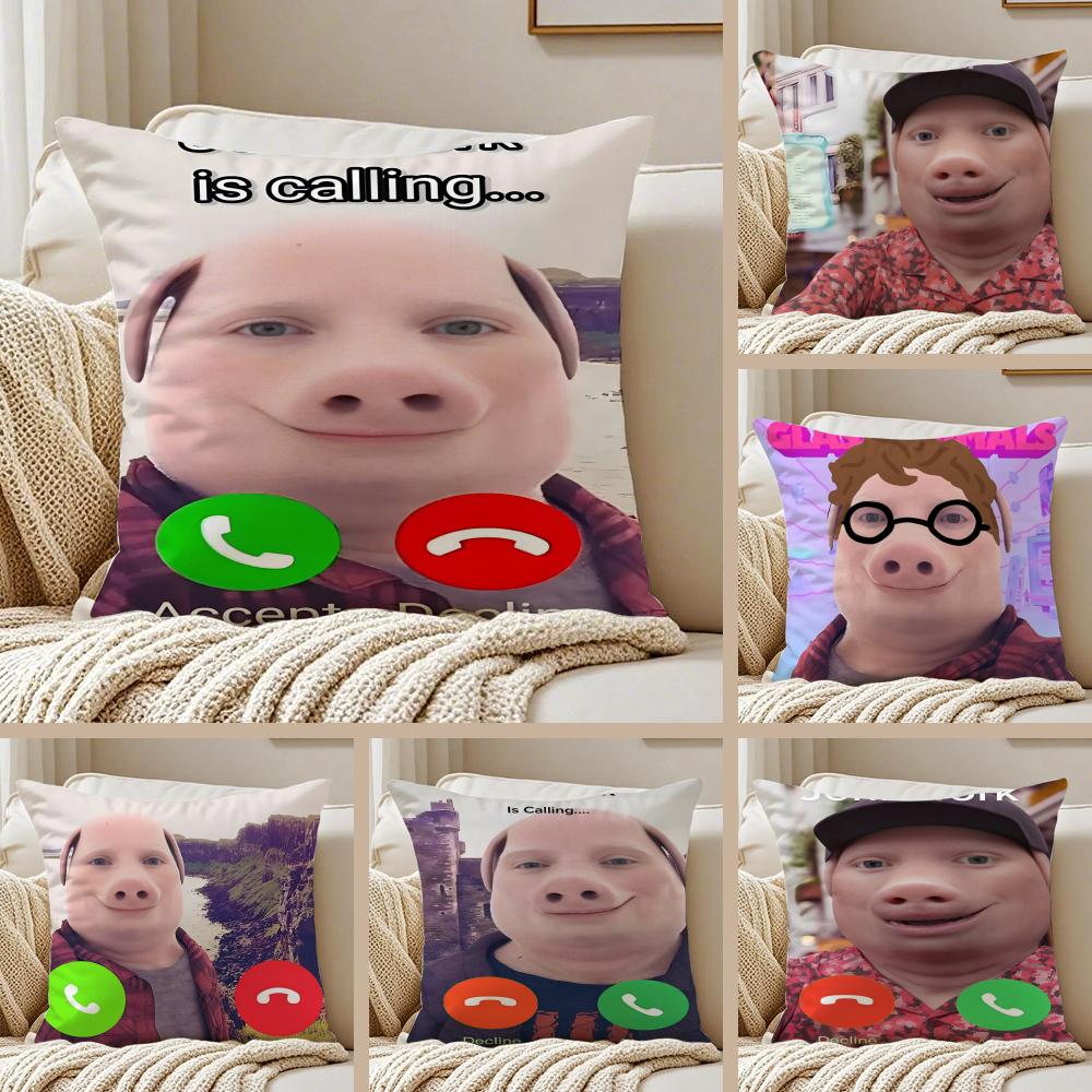 John Pork Is Calling Funny Cushion Cover Silky Short Plush DoubleSided Printed Pillow Case for Sofa All Seasons Home Decor Gift