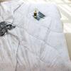 Shanshan Victoria Mulberry Silk Quilt