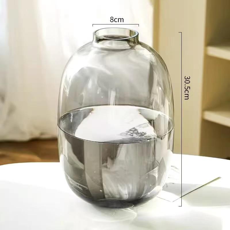 Minimalist Large Belly Glass Joy Vase for Hydroponic and Indoor Green Plants, Japanese Style