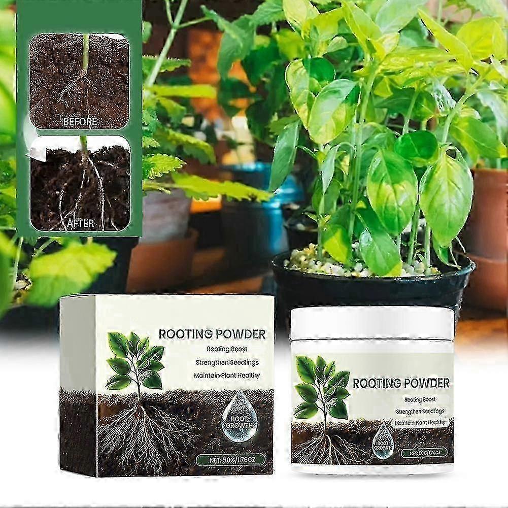 Doff Rooting Powder, Promotes Healthy Roots, Natural_yg4