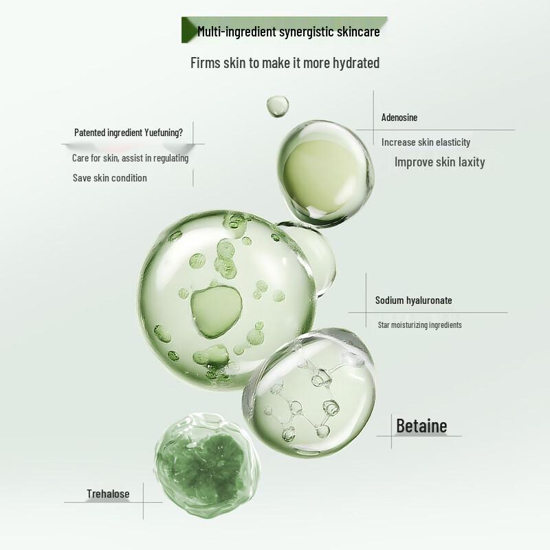 DR PLANT Alpine White Tea Pore Refining Skincare Set