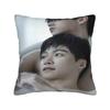 Revenged Love Chi Cheng Wu SuoWei Tian XuNing ZiYu  Printing Pillowcases Cushion Cover  Pillow Covers Zippered Multi-Size