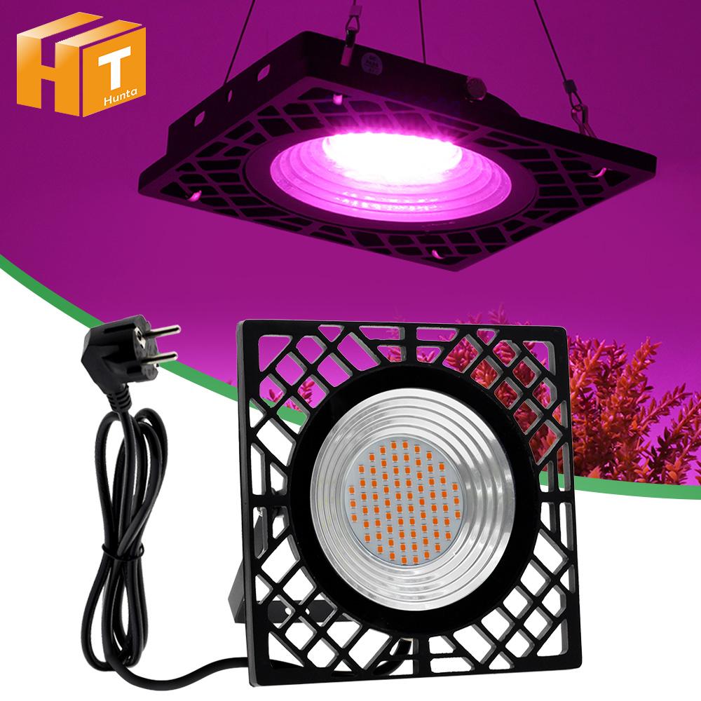 Buy LED Grow Light Full Spectrum 220V 500W With Honeycomb Phyto Lamps ...