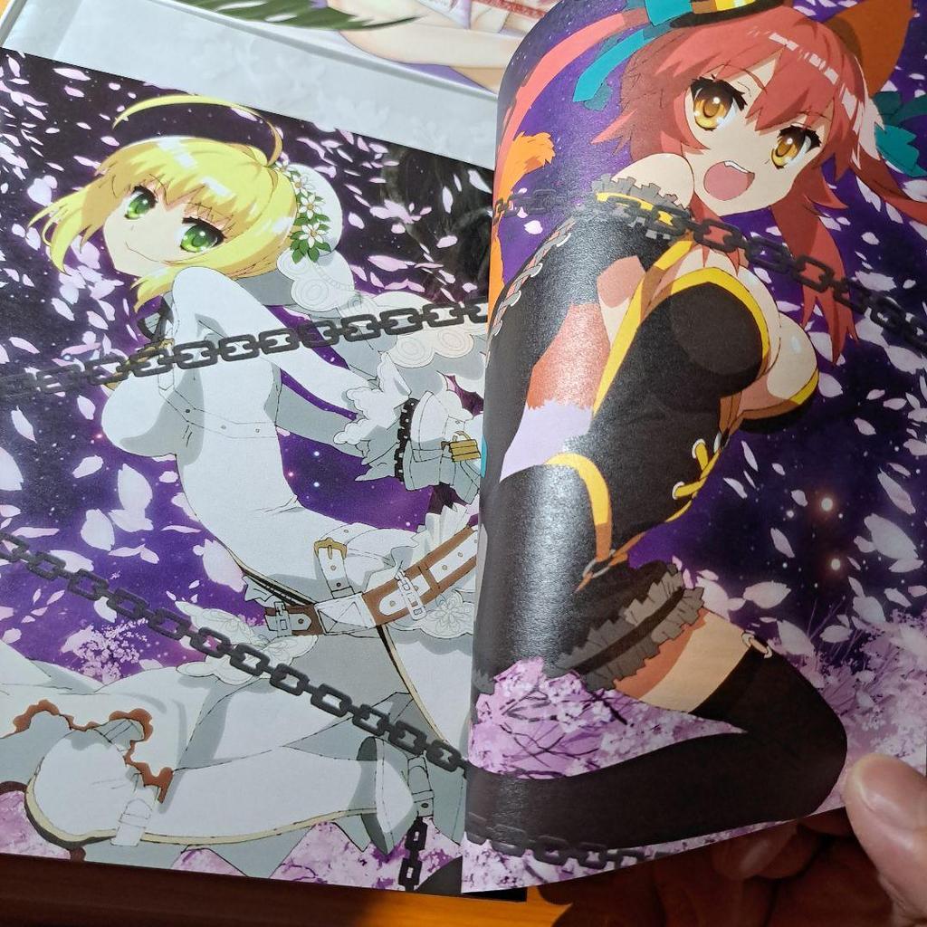 [USED] Fate/EXTRA CCC Original Soundtrack First Limited Edition