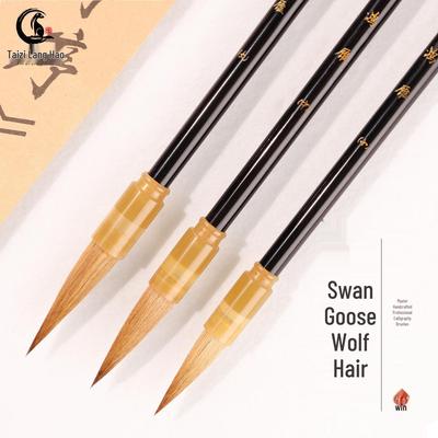 Disegno – Pennelli per calligrafia