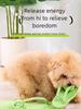 Durable Cotton Rope Slipper Knot Dog Chew Toy Small Dog Interactive Teeth Cleaning Molar Tartar Removal Safe Pet Chew Supplies