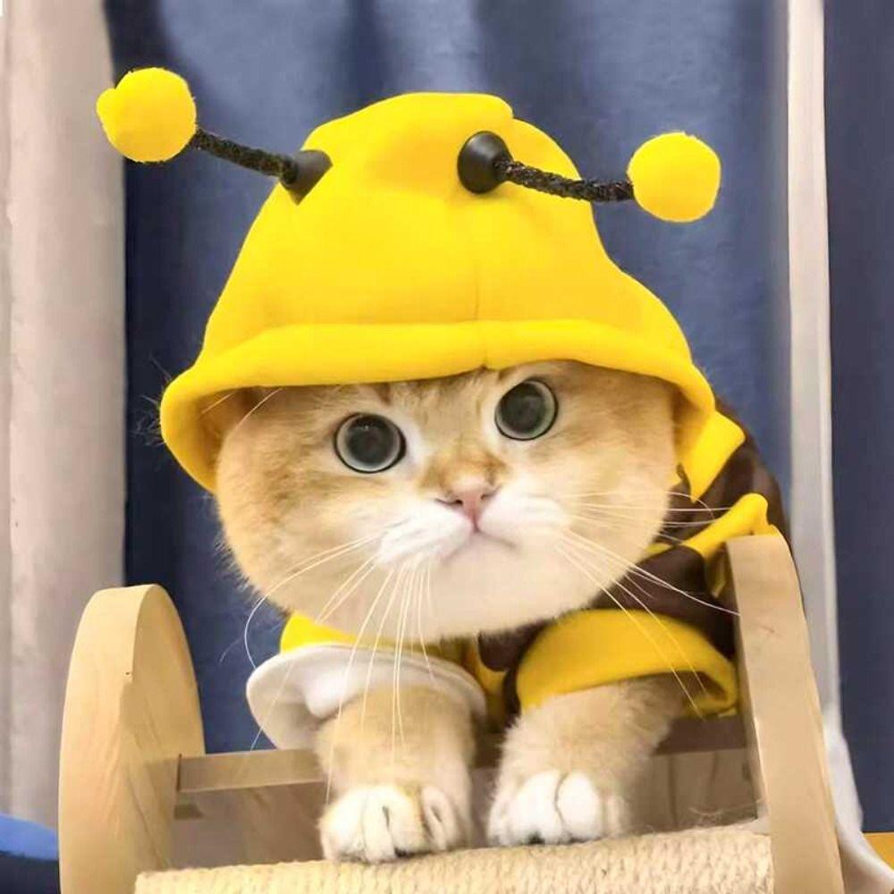 Casual Bee Design Puppy Cat Clothing Thickened Warm Dog Pullover Hoodie Soft Jumpsuit Cat Sweatshirt Autumn/Winter
