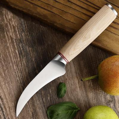 Coltelli da cucina per disossare la frutta in acciaio inossidabile. Coltelli da esterno