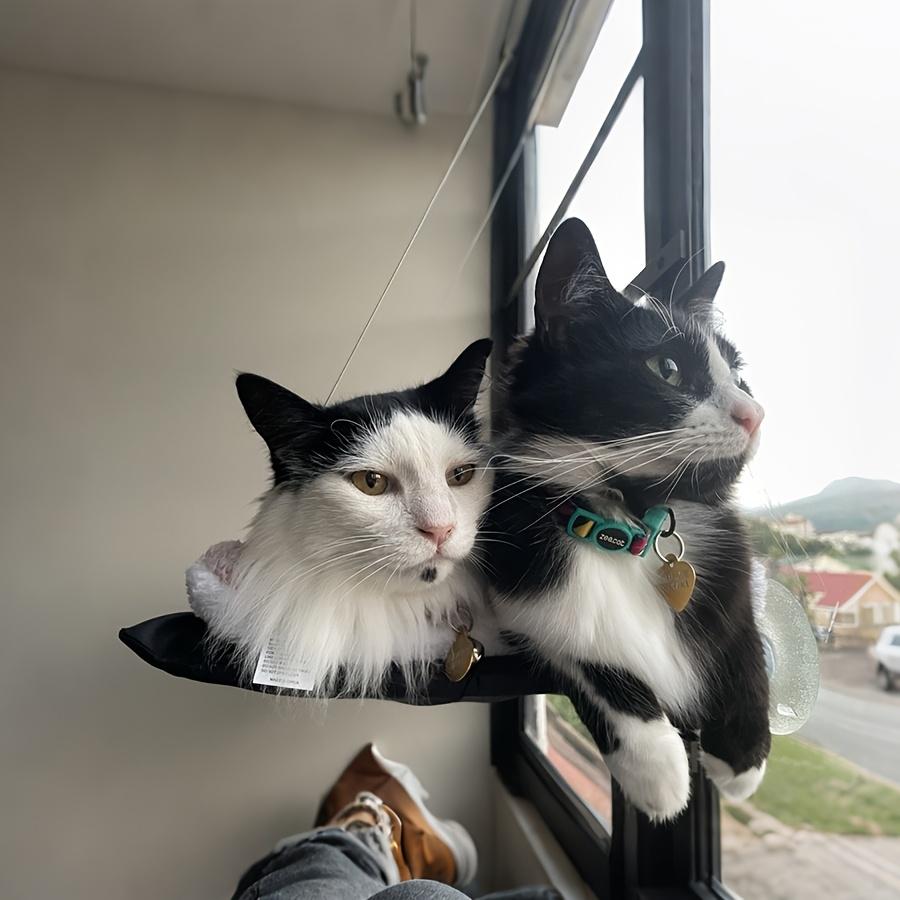 Cat bed window, cat window hammock window, safe habitat, cat frame, space saving window, cat seat