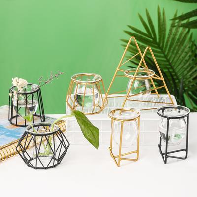 עיצוב הבית – אגרטלים