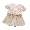 Girls Summer Floral Short Sleeve Tops And Shorts Set Cute Baby Two Piece Outfit Casual Beach Wear