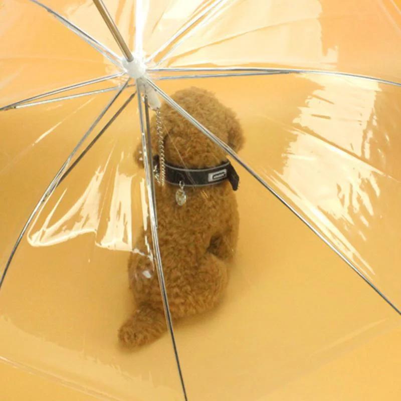 Orsacchiotto Creativo Barboncino Cani Piccoli Che Portano Ombrelli Cani Che Camminano Viaggio Fuori Cani Poncho Impermeabile Prodotti per Animali Domestici