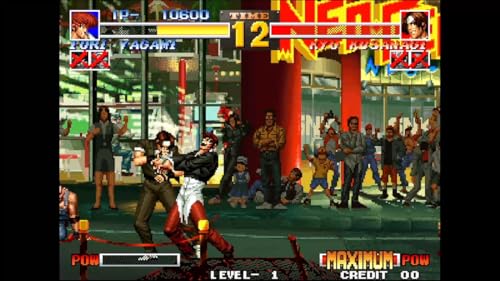 ACA NEOGEO Selection Vol.2 -Switch