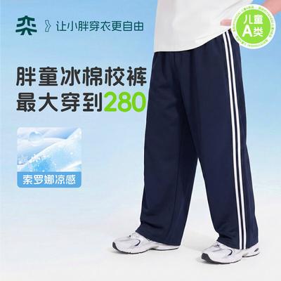 Boys' Plus-Size Two-Stripe Summer Track Pants