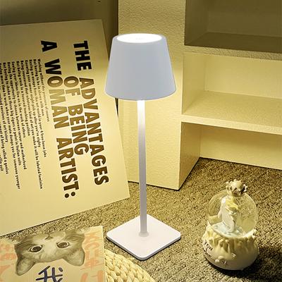 Šviesos diodų lempos – LED saliniai šviestuvai