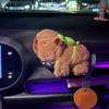Capybara Auto-Innenausstattung, Mittelkonsole, Displays, Griff, Wischer, Zubehör für Handbremse, Türgriff, süße Plüschpuppen, Armbinde