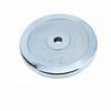 TLXT Electroplated Cast Iron Barbell Weight Plate