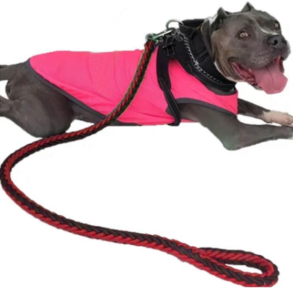 Dog Leash Heavy Duty Thickened Bite Resistant Nylon Pet Traction Leash for Medium Dog Walking