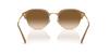 sunglasses RB4429 Ray-Ban