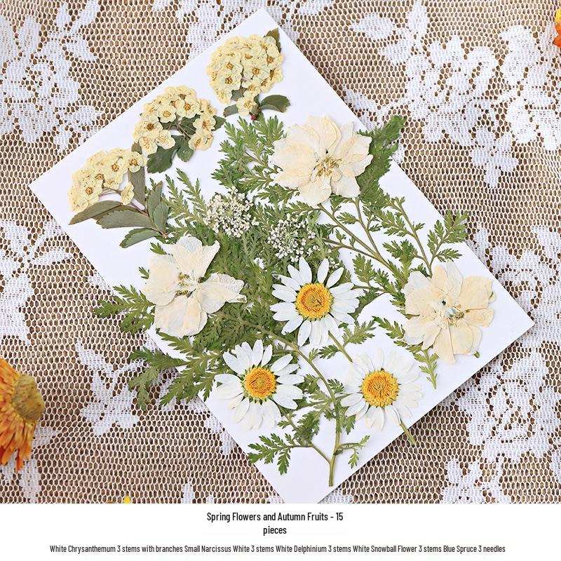 Nordic Simple Acrylic Photo Frame - 6-7 Inch DIY Dried Flower Pressed Specimen