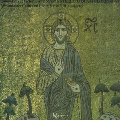 LP Record TOMAS LUIS DE VICTORIA WESTMINSTER  Ave Maris Stella  O Quam Gloriosum A66114 HYPERION 1984 UK Classical Used