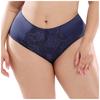Women Pantie Sexy Lace Elastic Lingerie Knickers Underpants Underwear L-4XL