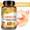 Kapseln mit Cordyceps-Mycelium-Extrakt unterstützen das Energieniveau und fördern das Immungleichgewicht. 120 Kapseln.