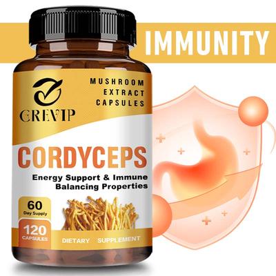 Cordyceps Mycelium Extract Capsules Support Energy Levels and Enhance Immune Balance. 120 Capsules.