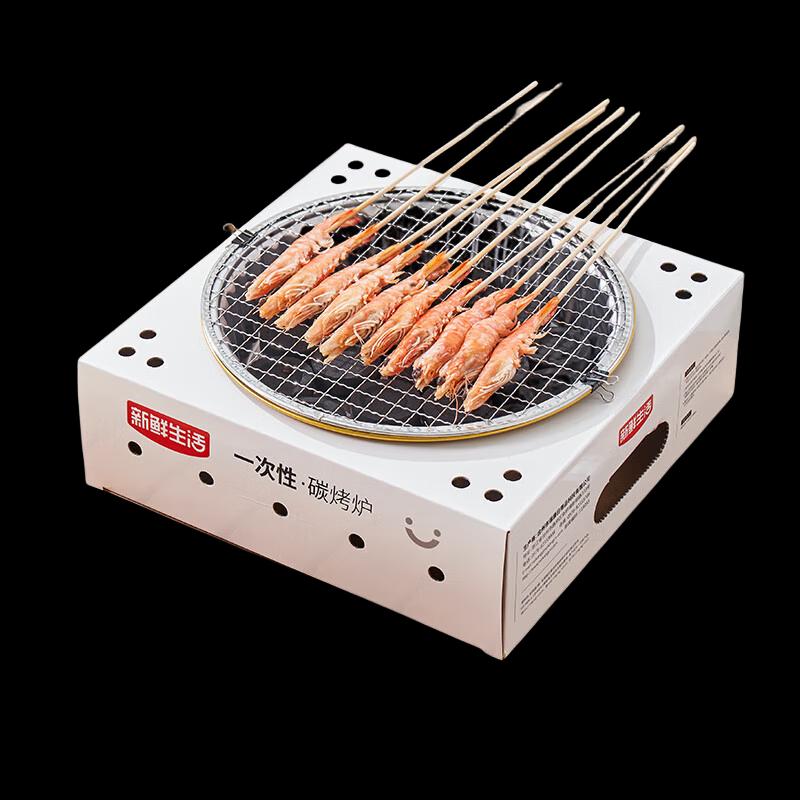 Portable Disposable BBQ Grill Set with Charcoal
