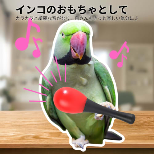 COLORBIRD Maracas Shakers (10 pieces) Kids Musical Instruments Parakeet Toy Party Supplies Plastic Maracas