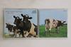 CD PINK FLOYD - Atom Heart Mother CP325274 EMI 1989 Japonia Rock Folosit