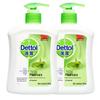 Dettol Plant Care Antibacterial Hand Wash