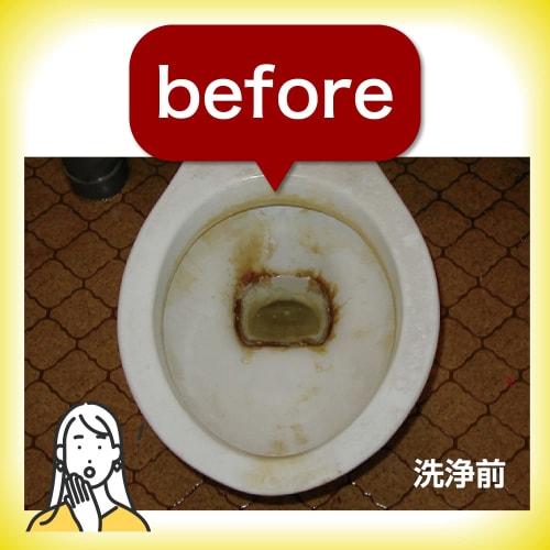 Skill and Craftsmanship Series: No Chlorine Needed! Removes Urinary Stones Without Damaging Metal! Contains Golden Organic Acids! Toilet Master 500ml