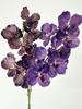 Artificial Vanda Orchid Flowers Real Touch Fake Orchid Folral Arrangement  Realistic Decorative Vanda Flower