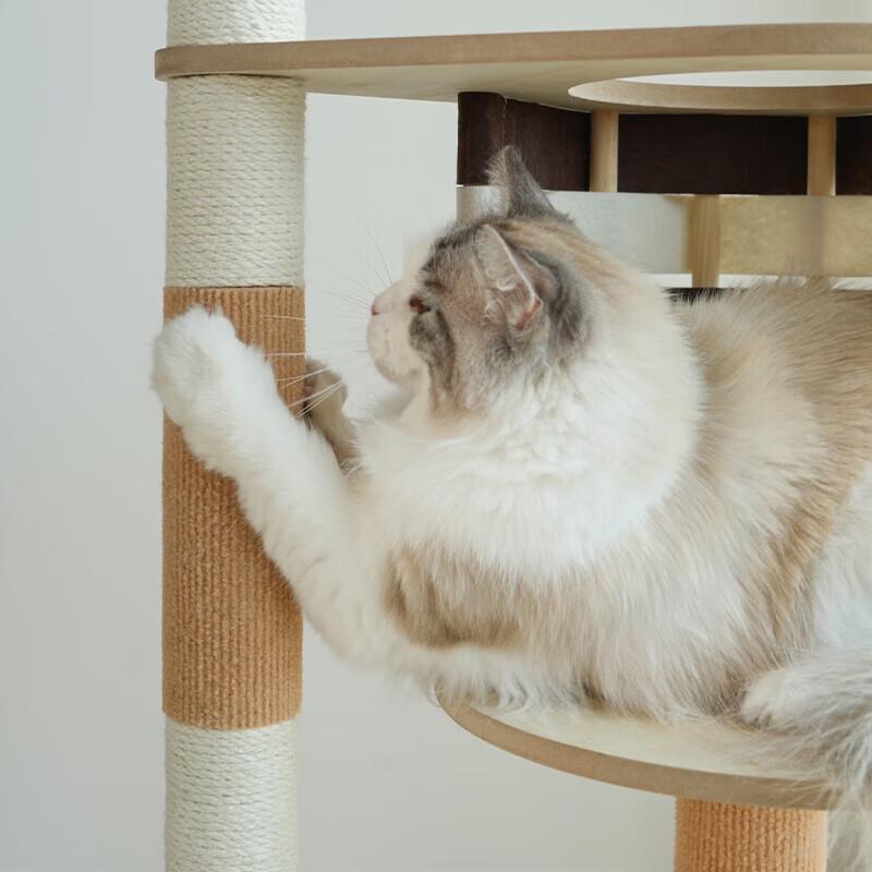 Minimalist Woven Cat Tree