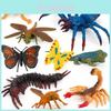 Insect World Model Set For Kids With Pvc Figures And Animal Scene Play