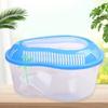 Portable Plastic Turtle Terrarium with Basking Platform