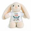 Planetee Plush Baby Rabbit Comforter My Mission Painting With Auntie Newborn Gift Baby Girl Boy Baby Shower