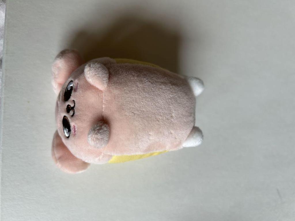 [USED] StrayKids Bag Charm Puppym