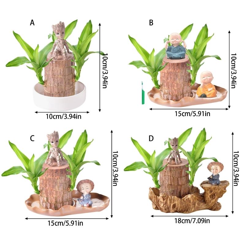 Brazilian Lucky Tree Water Culture Indoor Air Purifier Desk Planter Ceramic White Pot Meditations Decors