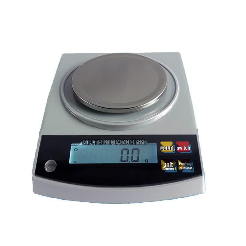 Precision Digital Scale