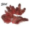 Feather Decorations for Colors 4.5-10cm Natural Chicken Guineahen Feathers Crafts 50Pcs Tail Bright Colored DIY