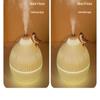 USB Air Humidifier 300ml Essential Oil Diffuser Creative Water Aroma Diffuser  Home Decor