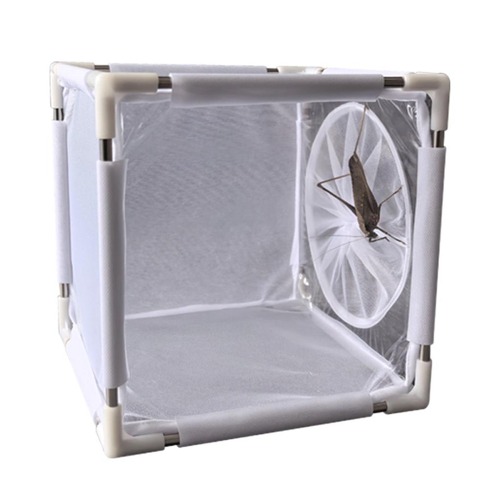 Removable Stainless Steel Frame Mesh Cage Insect Breeding Observation Cage Hatching Net Cage