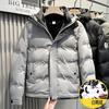Men's down jacket winter new fashion casual warm cold clothing white duck down hooded loose versatile jacket men's cotton jacket