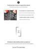 Hybrid Hi4-T Z 21-25 Models Tank Series Car Floor Mats - TPE Full Coverage, for Five/Seven Seater.