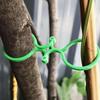 8-Shaped Buckle Vine Holder Clips 50/100pcs  Plant Holder Cucumber Vine Stand Clips For Climbing Plants Stem Support Garden Tool